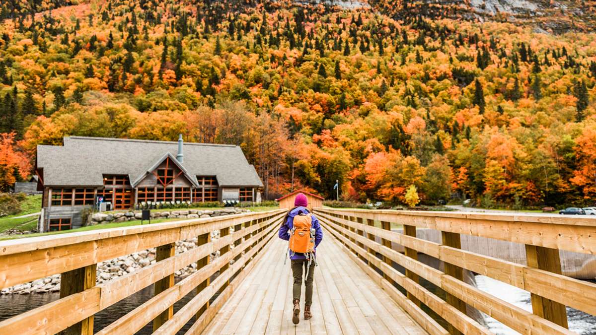 Immersion au Québec
