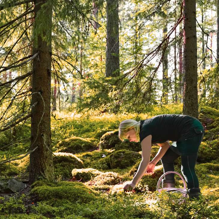 Immersion en Finlande