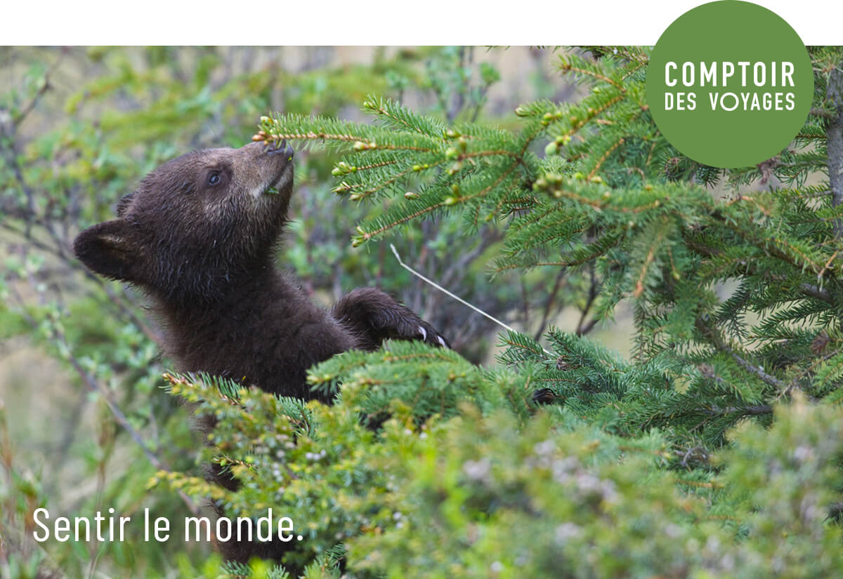Sentir le monde.