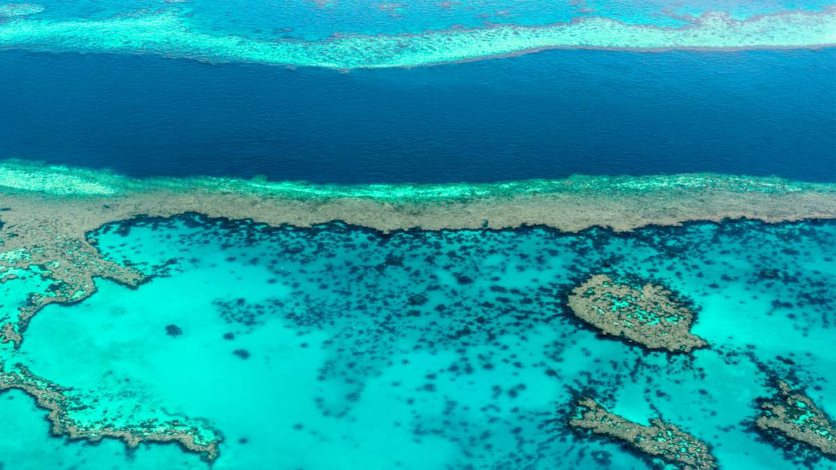 Immersion en Australie