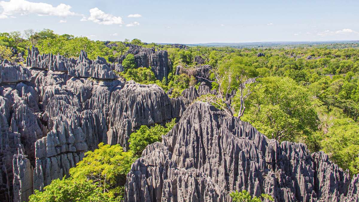 Immersion à Madagascar