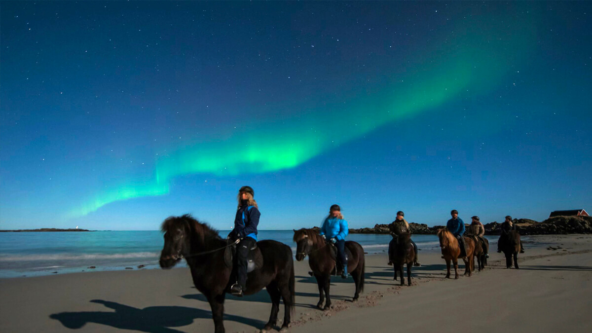Immersion en Norvège