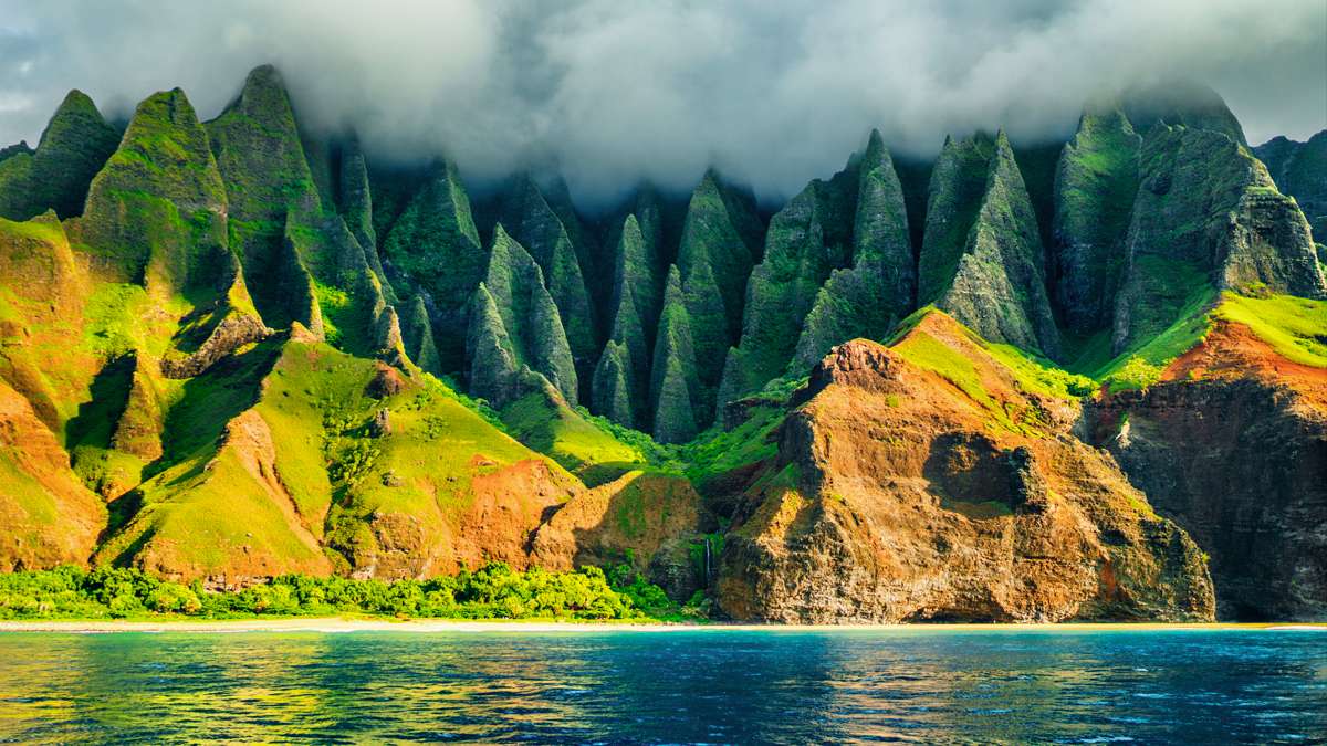 Immersion à Hawaii