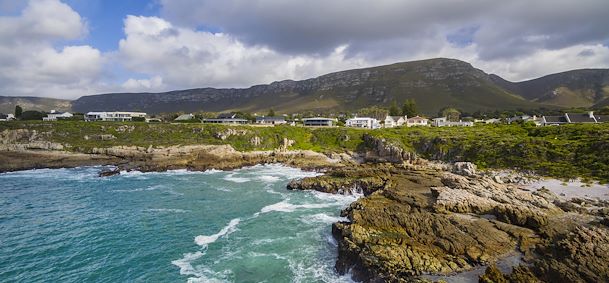 Hermanus