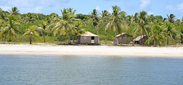 Mangue Seco