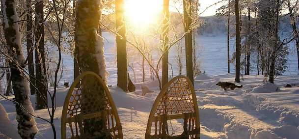 Ivalo