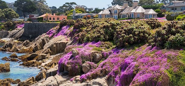Monterey