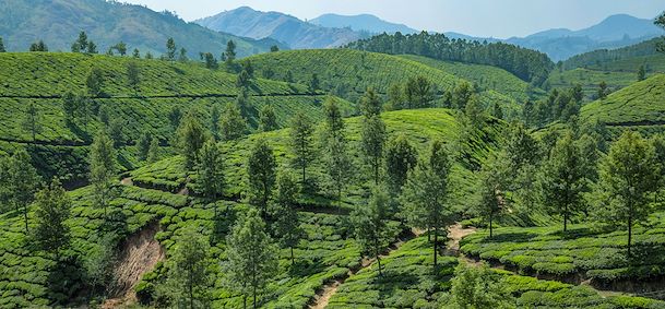 Munnar