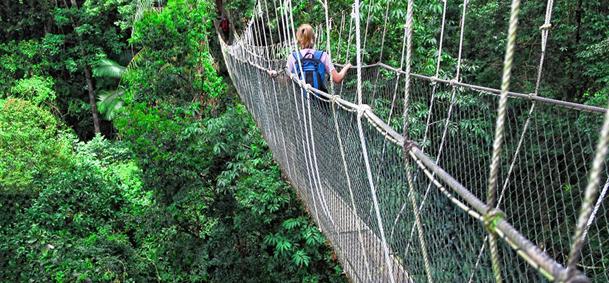 Taman Negara