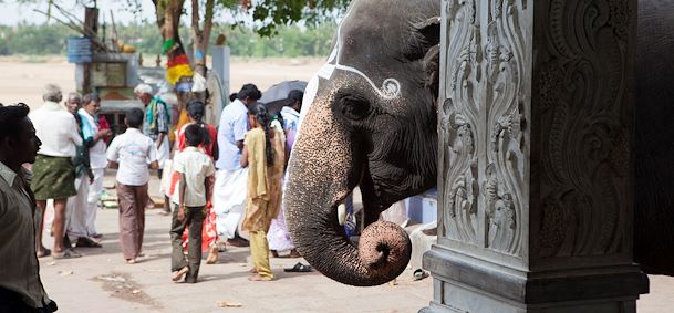 Trichy