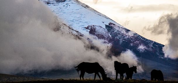 Allée des Volcans