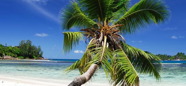 Anse Royale - Mahé