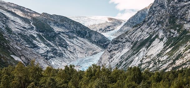 Nigardsbreen