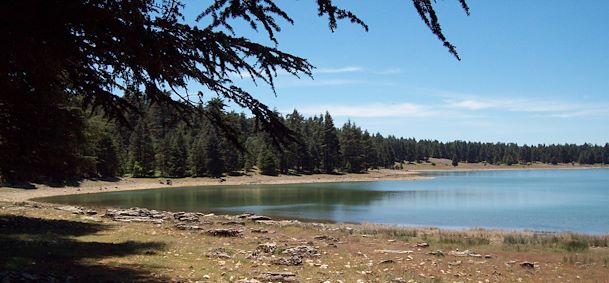 Ifrane