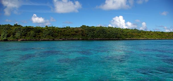 Île aux Aigrettes