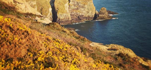 Ile d'Anglesey