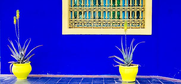 Jardin Majorelle