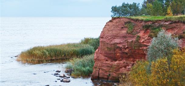 Kallaste