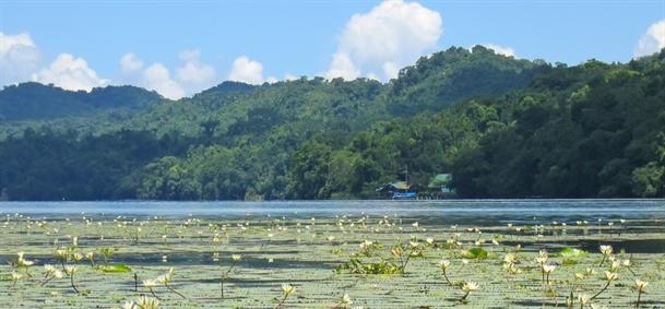 Rio Dulce