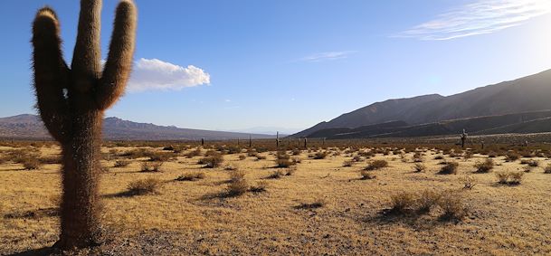 Parc Los Cardones