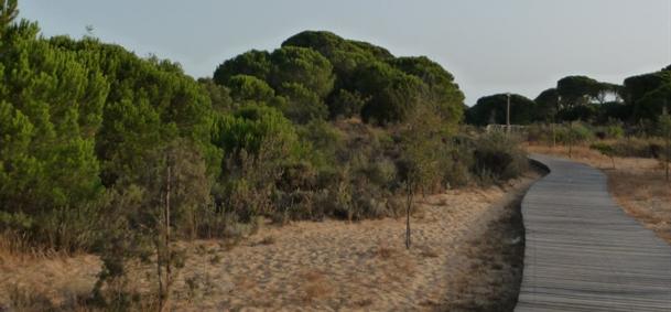 Parc national de Donana