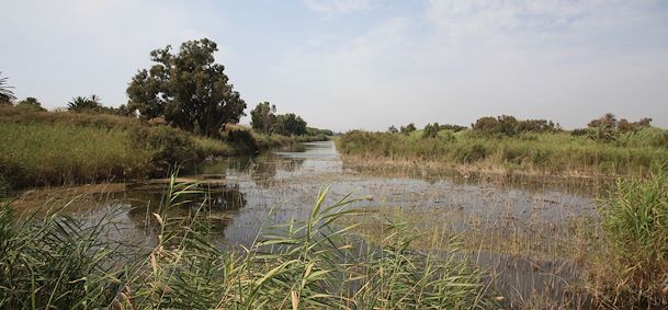 Parc national du Souss Massa