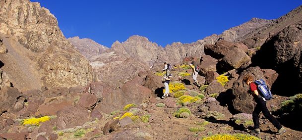 Parc national du Toubkal