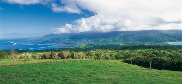 Plateau de Taravao - Tahiti