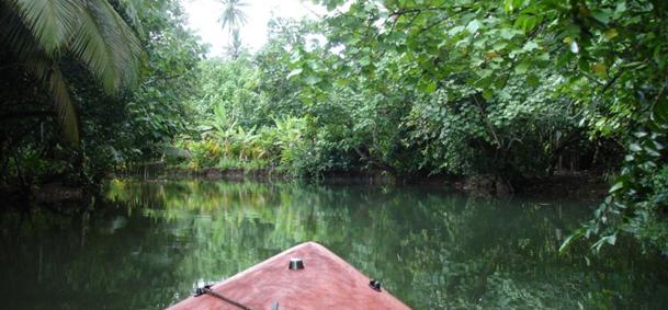 Rivière Faaroa - Raiatea