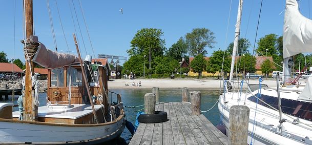 Rorvig