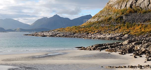 Rorvik