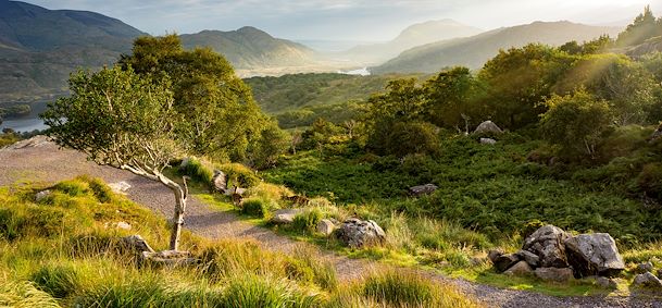 Killarney