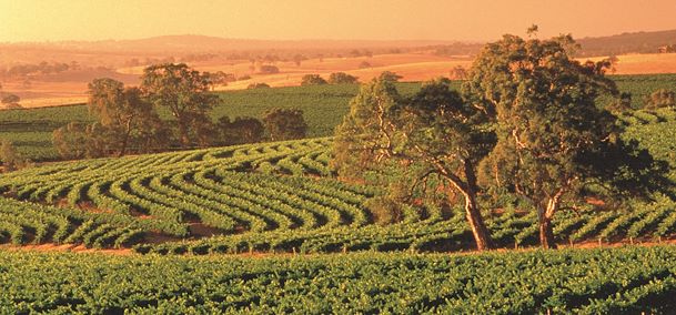 Australie du Sud