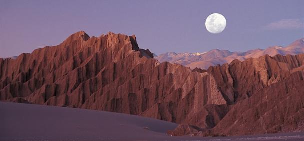 Vallée de la Lune - Los Flamencos