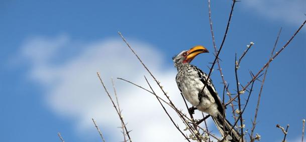 Mudumu National Park