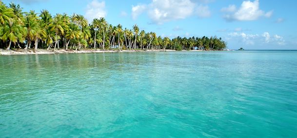 Lagon vert de Rangiroa