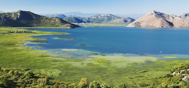 Lac de Skadar
