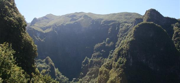 Parc forestier de Queimadas - Madère