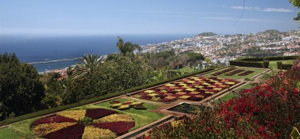 Jardin botanique de Funchal - Madère