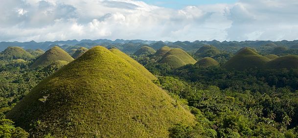 Bohol
