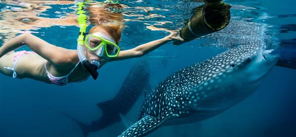 Snorkeling aux Philippines