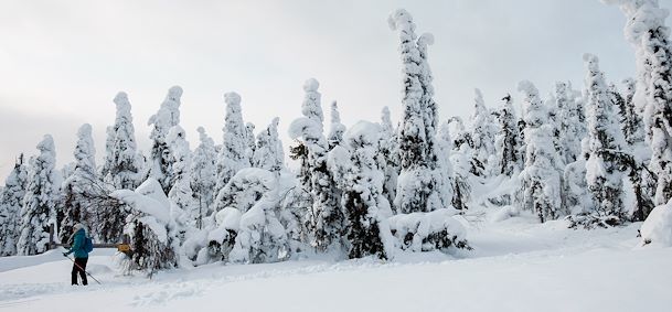 Neige