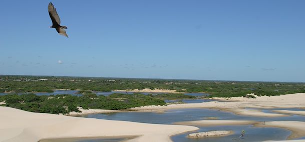 Nordeste