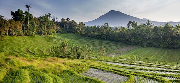 Mont Batukaru