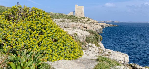 Ta’Cenc - Gozo