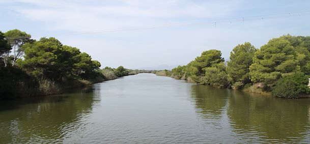 Parc Naturel de S'Albufera - Majorque