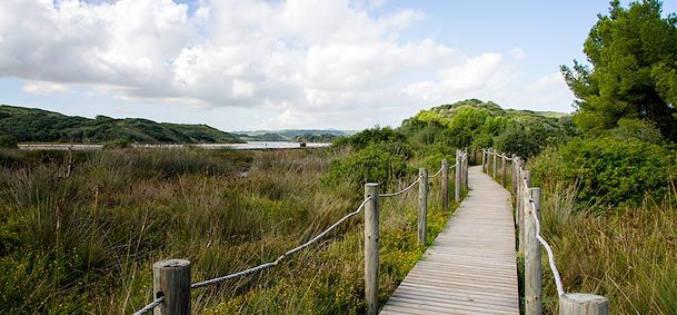 Parc naturel de S’albufera des Grau - Minorque