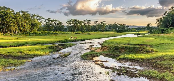 Chitwan
