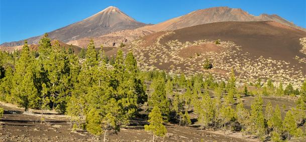 Pico du Teide - Tenerife
