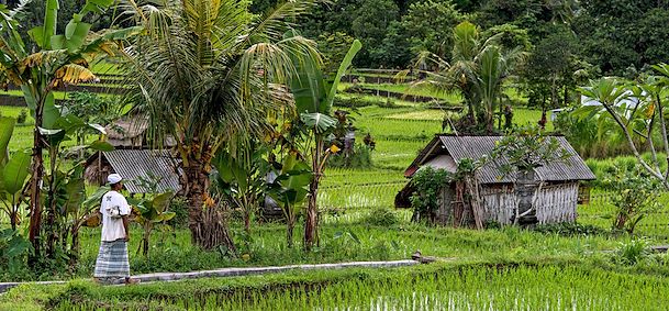Bali